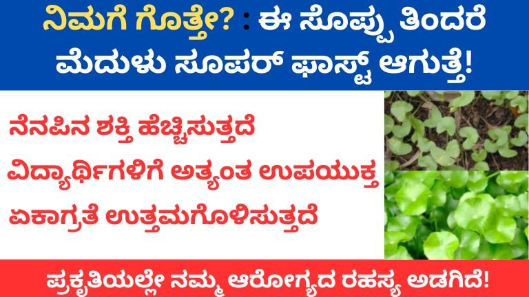ಬ್ರಾಹ್ಮಿ ಸೊಪ್ಪು ತಿಂದರೆ ಮೆದುಳು ಸೂಪರ್ ಫಾಸ್ಟ್ ಆಗುತ್ತೆ